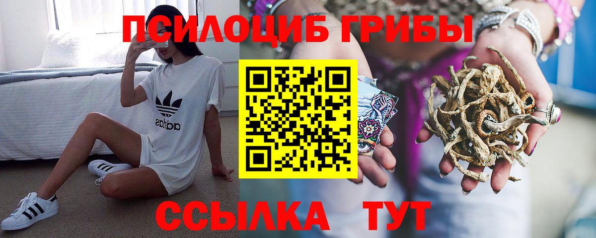 Псилоцибиновые грибы ЛСД Похвистнево